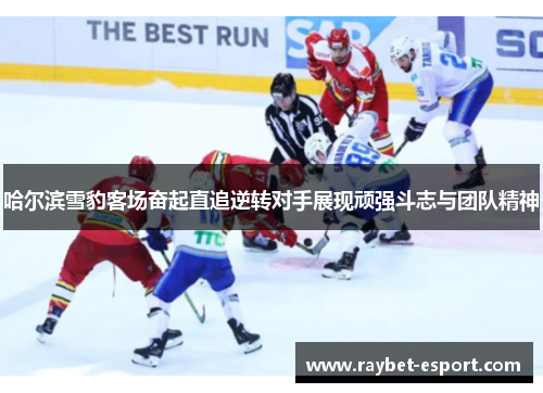 哈尔滨雪豹客场奋起直追逆转对手展现顽强斗志与团队精神