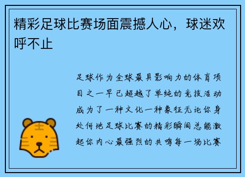 精彩足球比赛场面震撼人心，球迷欢呼不止