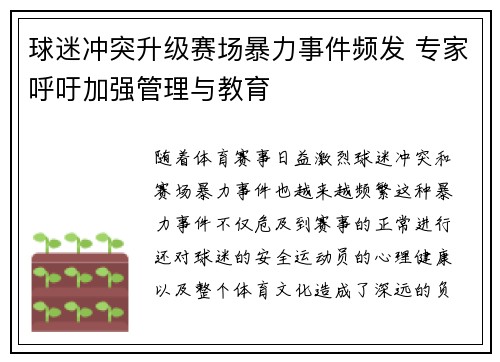 球迷冲突升级赛场暴力事件频发 专家呼吁加强管理与教育